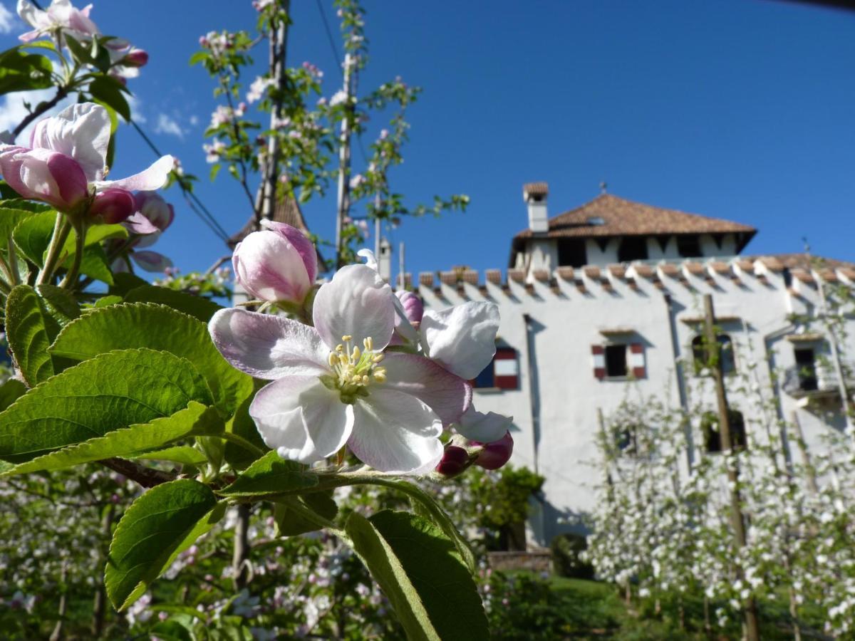 Apartments Schloss Paschbach Appiano Sulla Strada Del Vino Extérieur photo