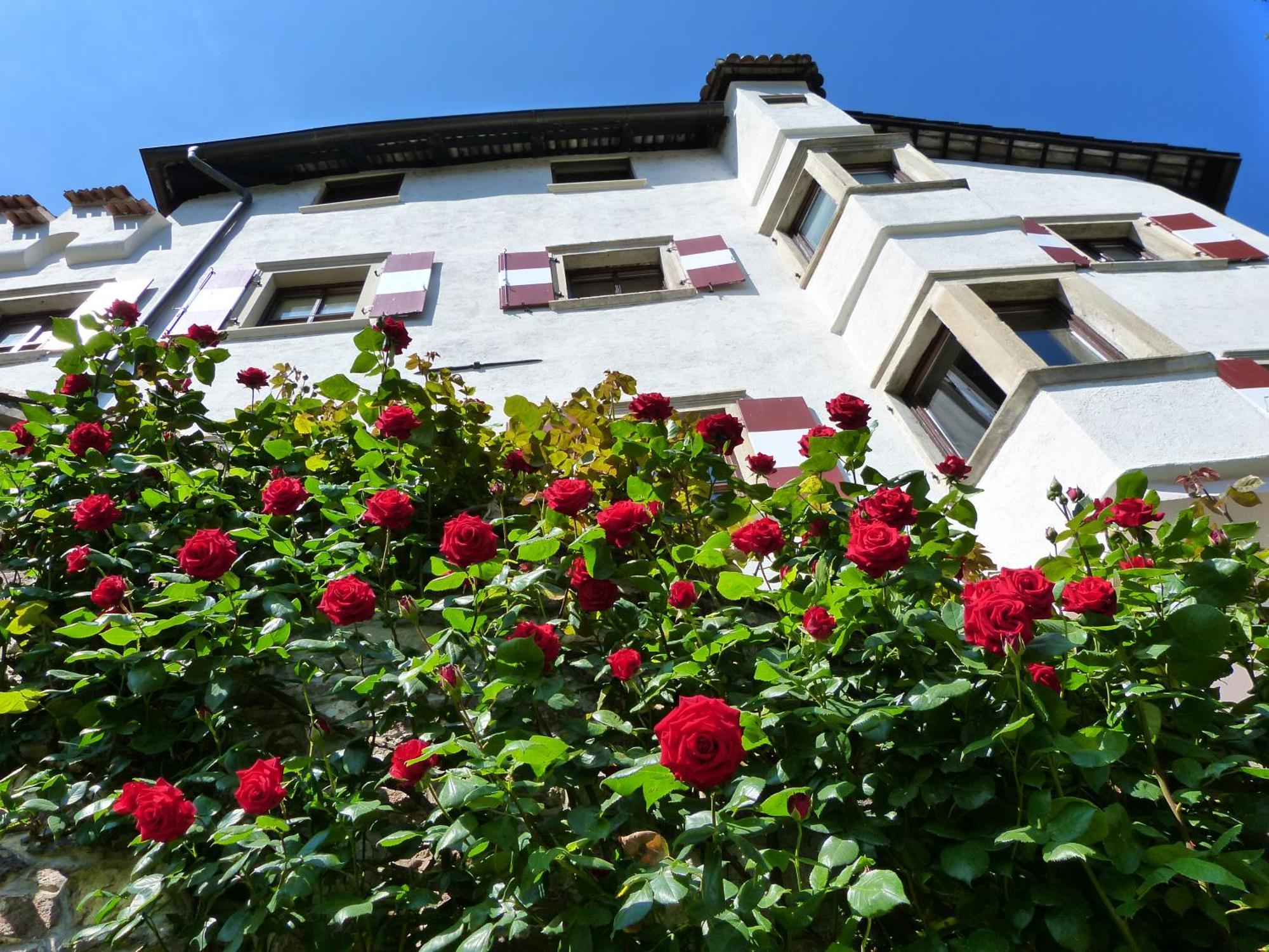 Apartments Schloss Paschbach Appiano Sulla Strada Del Vino Extérieur photo